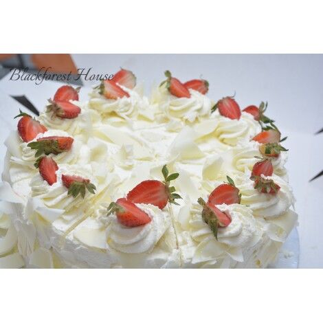 Wild White Forest Slice